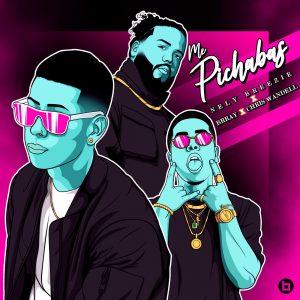 Nely Breezie Ft. Brray Y Chris Wandell – Me Pichabas